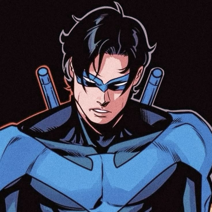 Nightwing Aesthetic PFP