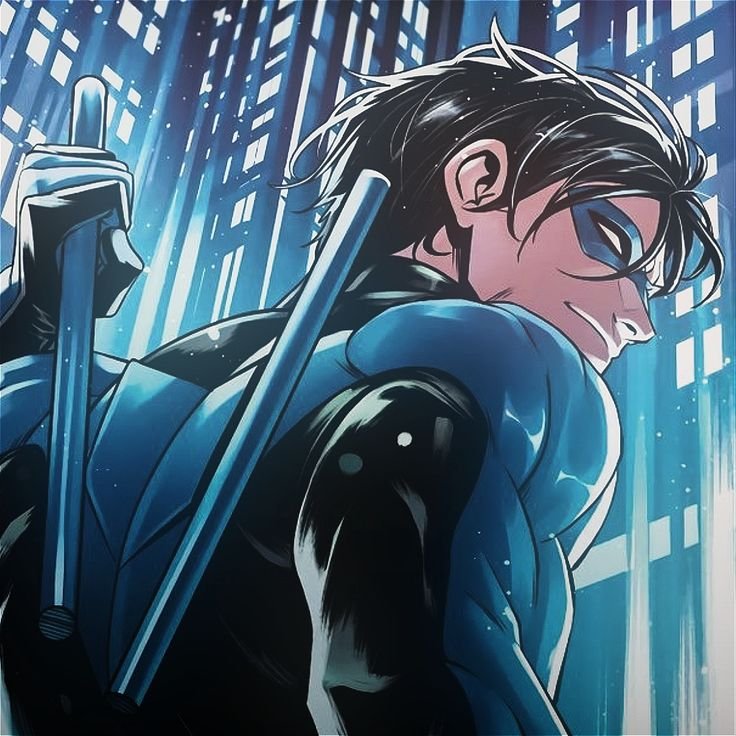 Nightwing Aesthetic PFP