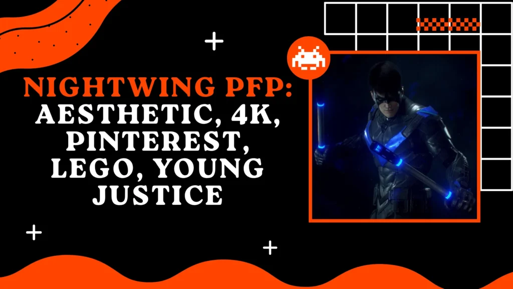 Nightwing PFP