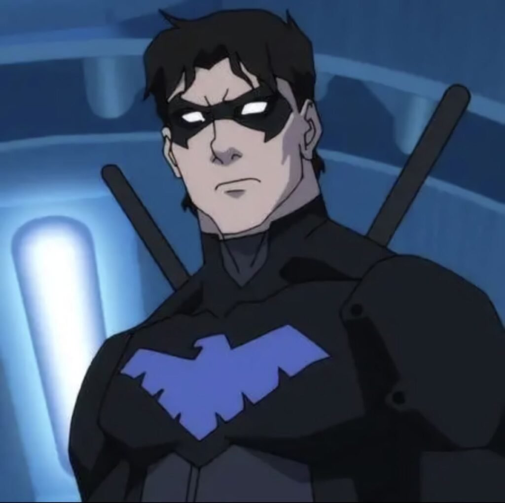 Nightwing TwitterX PFP