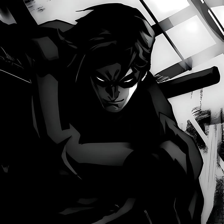 Nightwing TwitterX PFP