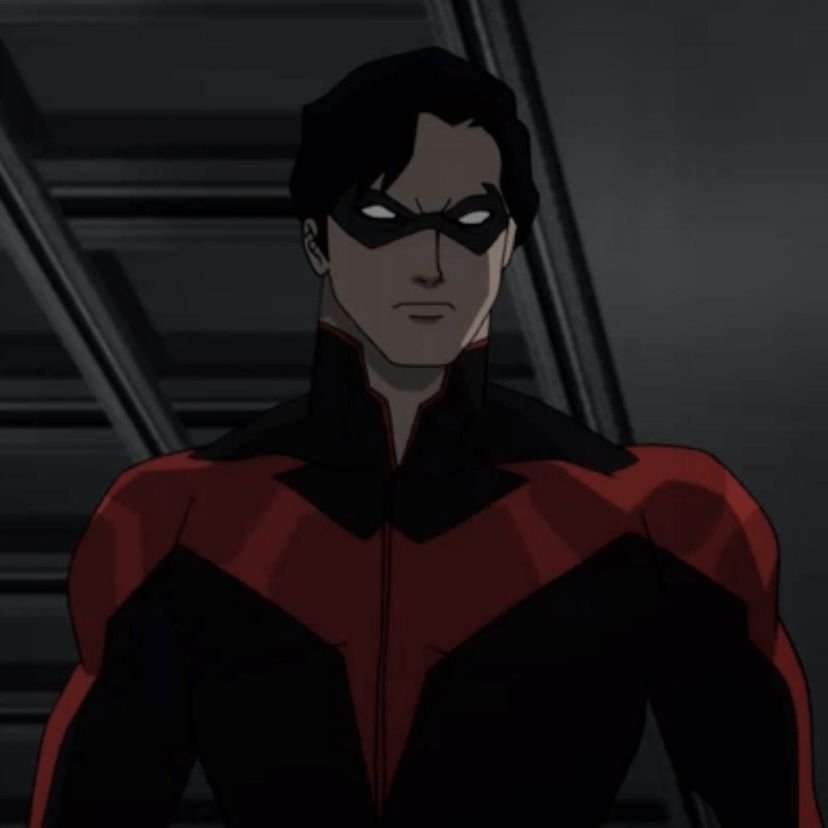 Red New 52 Nightwing PFP