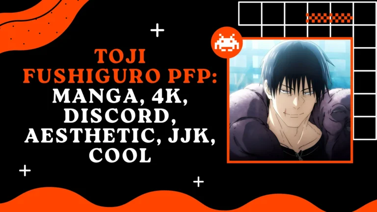 Toji Fushiguro PFP