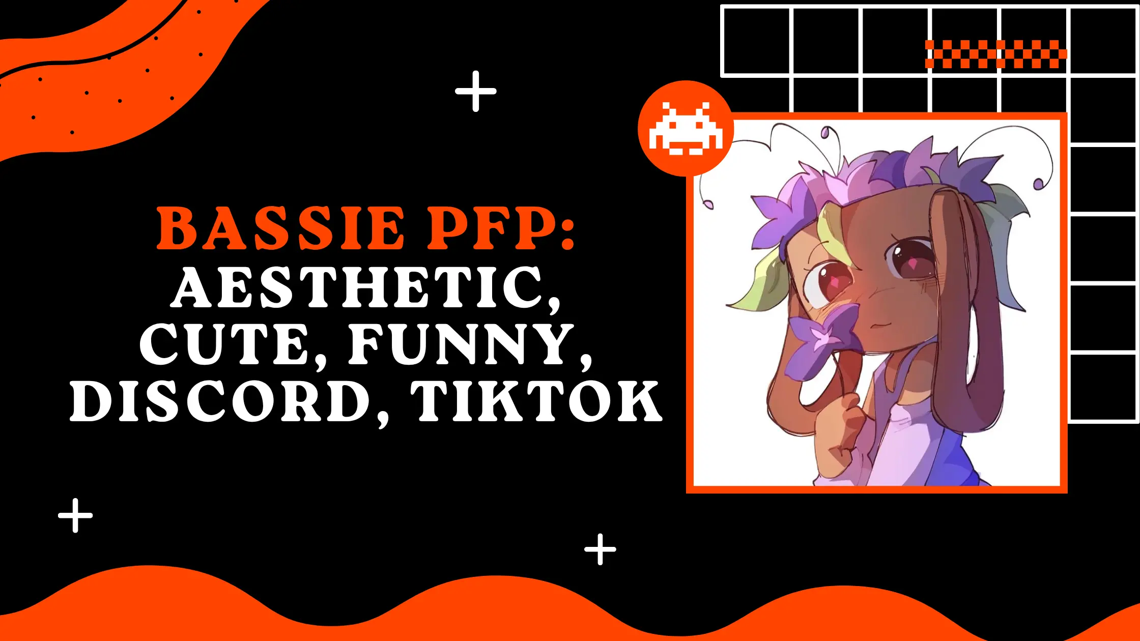 Bassie PFP