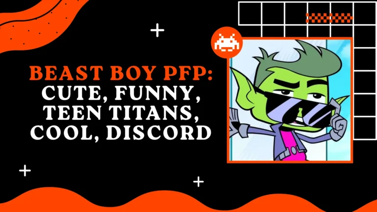 Beast Boy PFP
