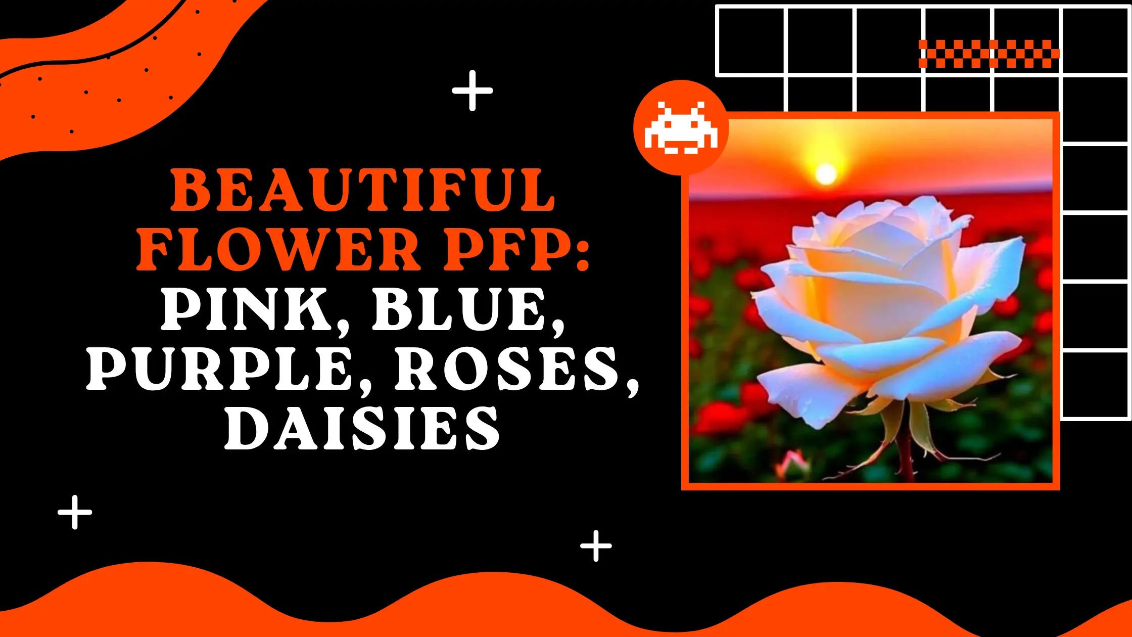 Beautiful Flower PFP