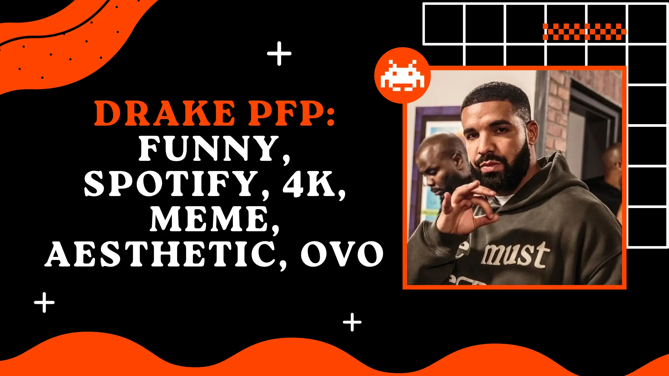 Drake PFP