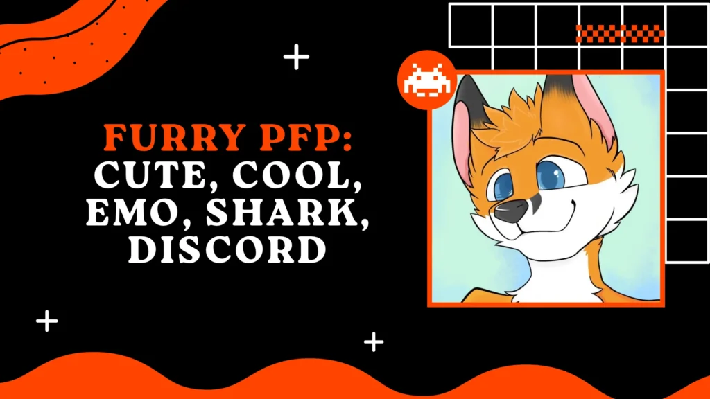 Furry PFP