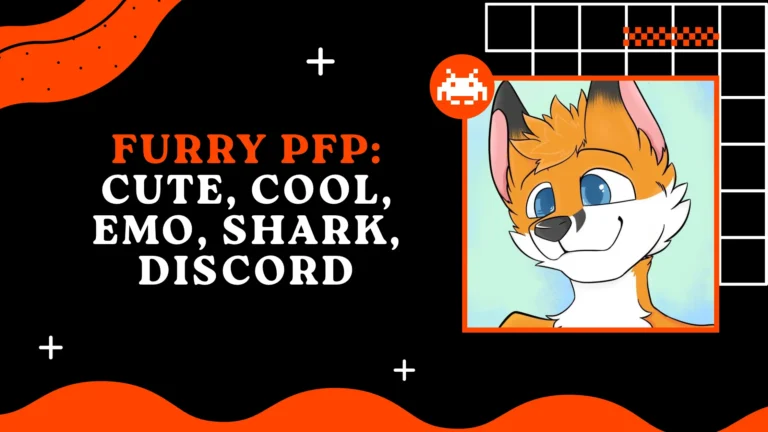 Furry PFP