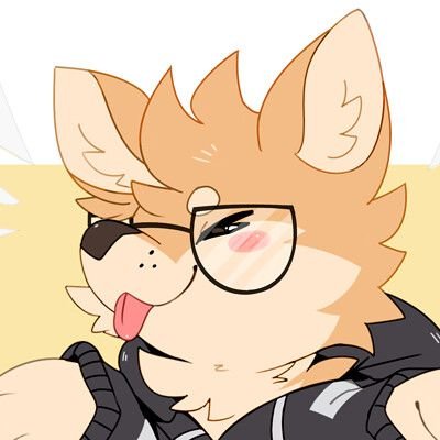 Furry PFP With Glasses