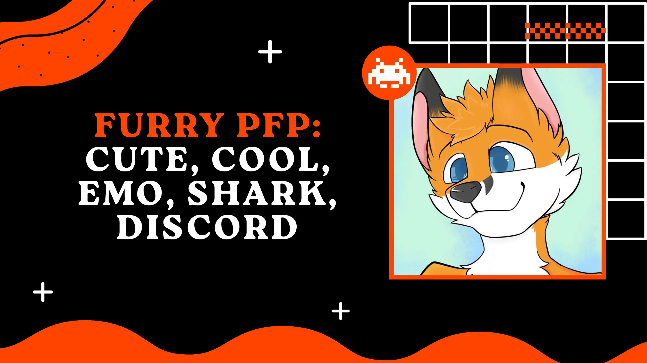 Furry PFP