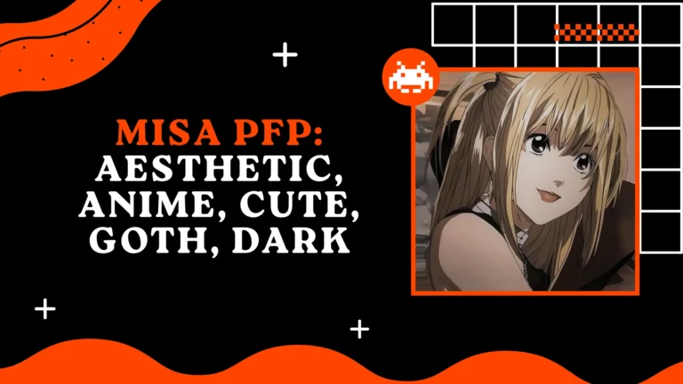 Misa PFP