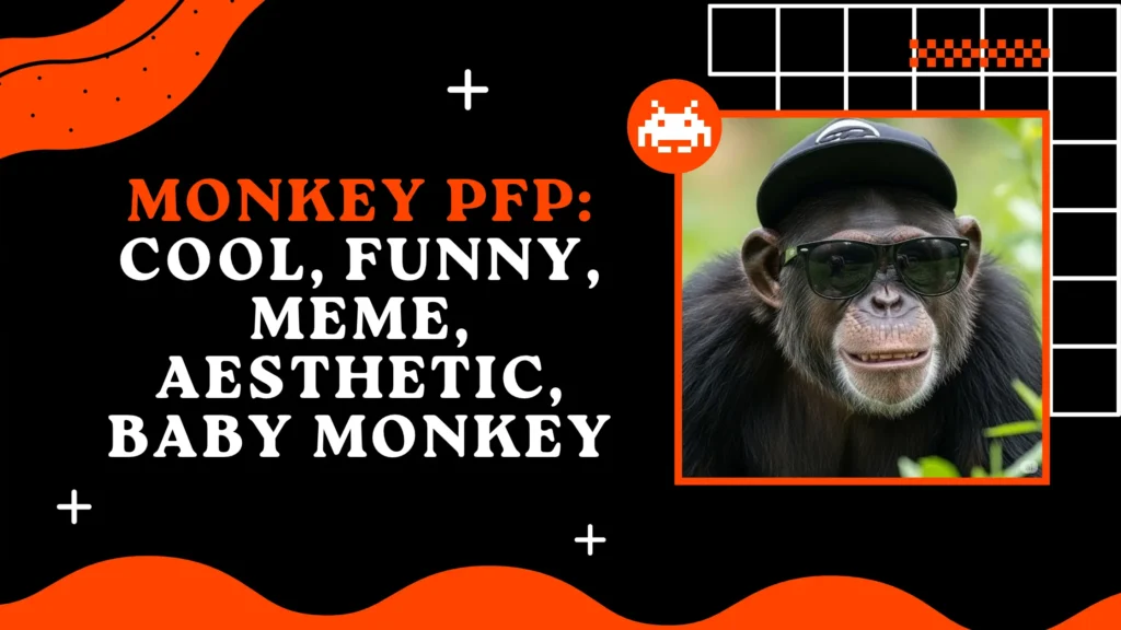 Monkey PFP