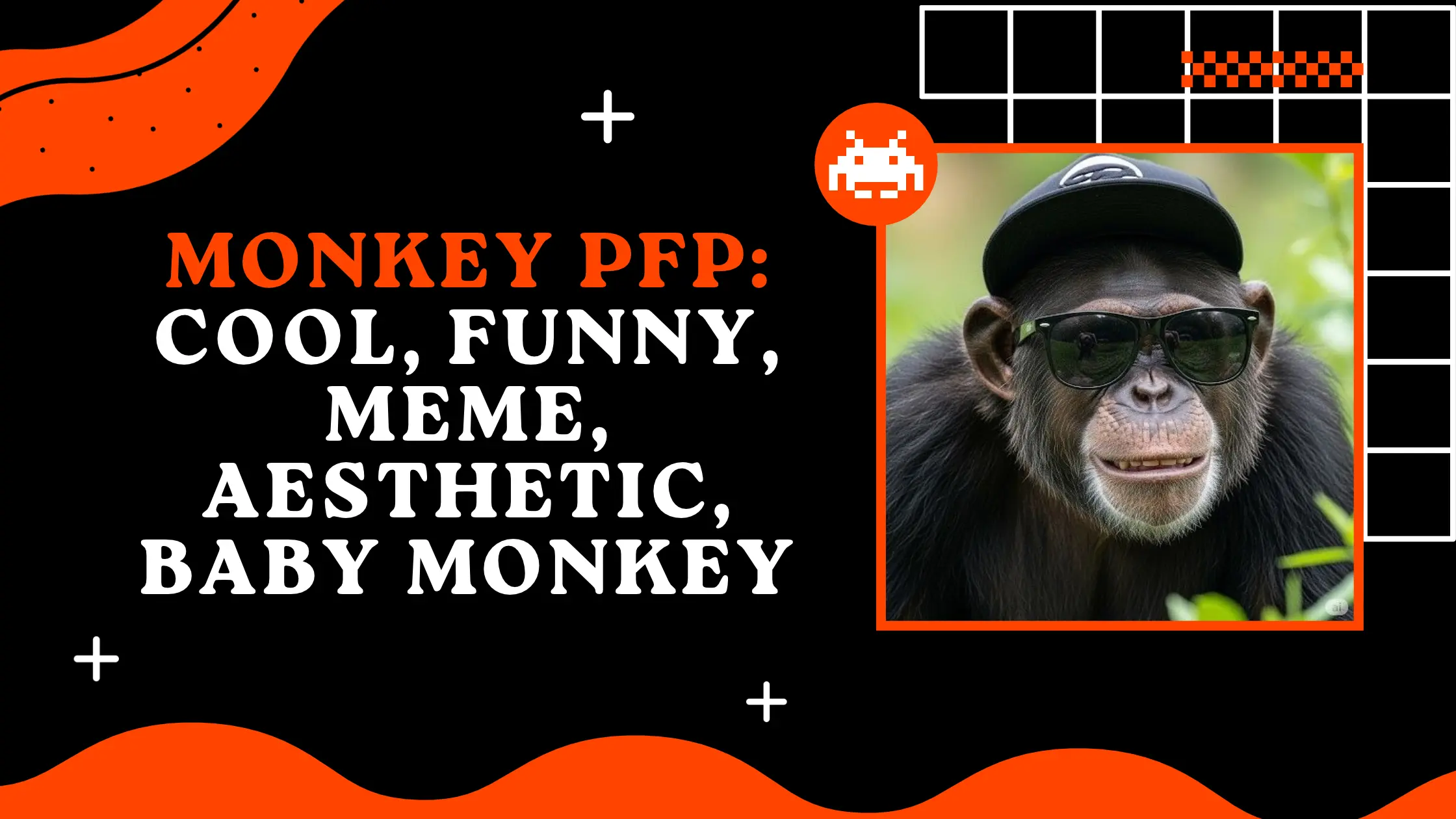 Monkey PFP