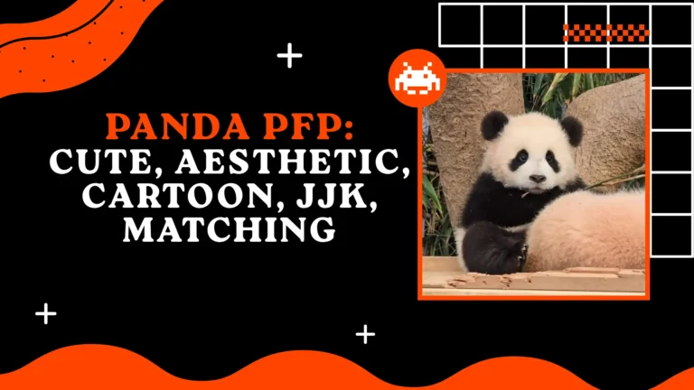 Panda PFP