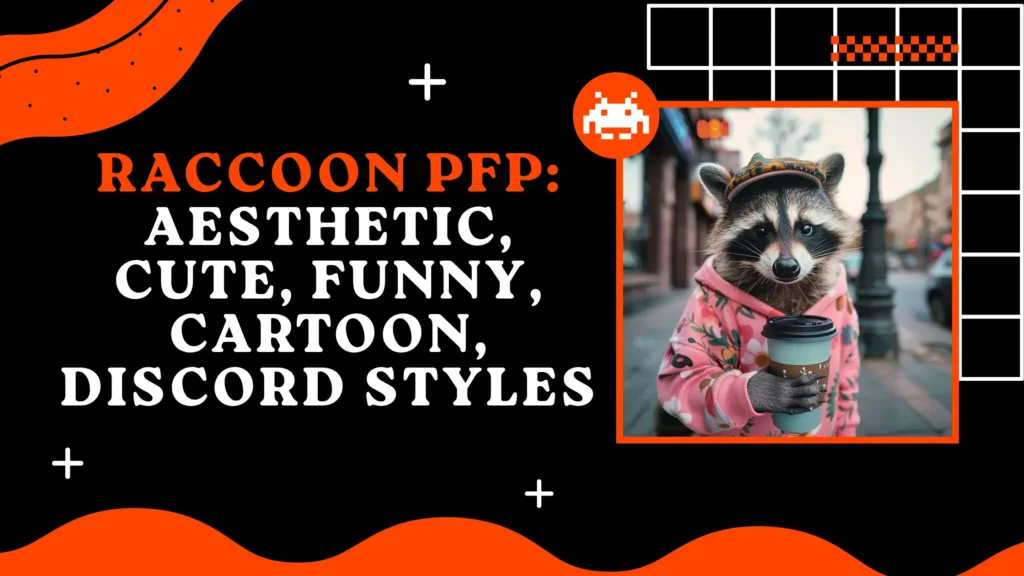 Raccoon PFP
