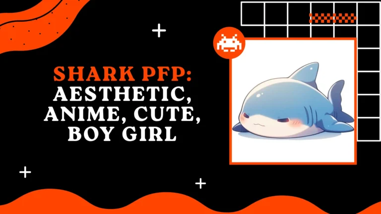 Shark PFP: