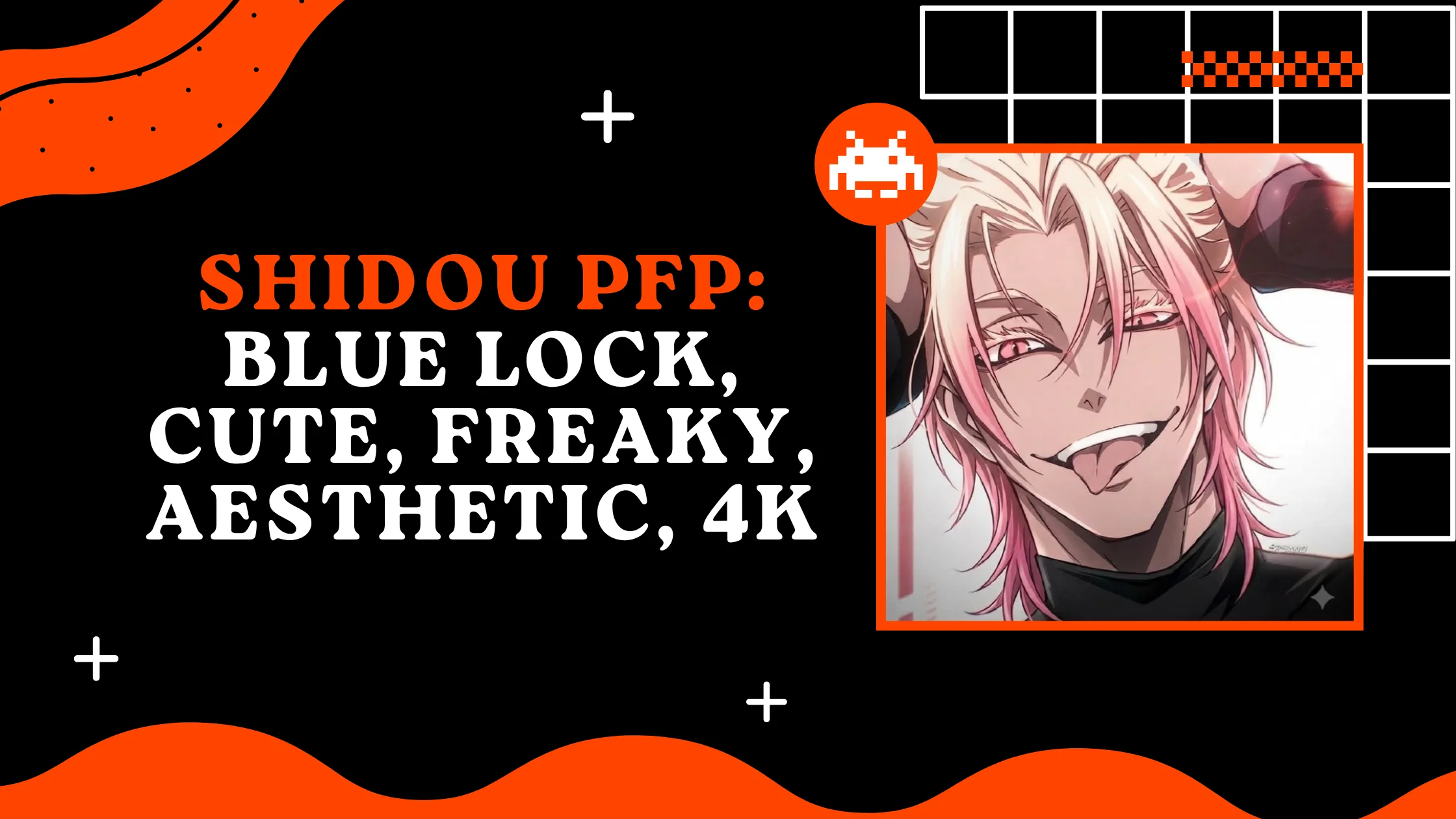 Shidou PFP