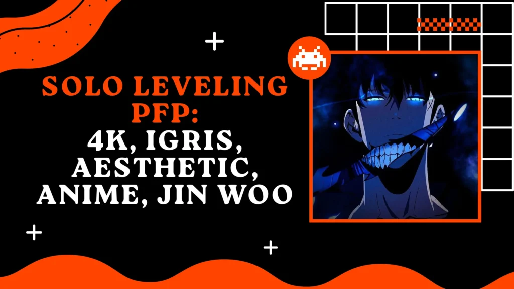 Solo Leveling PFP