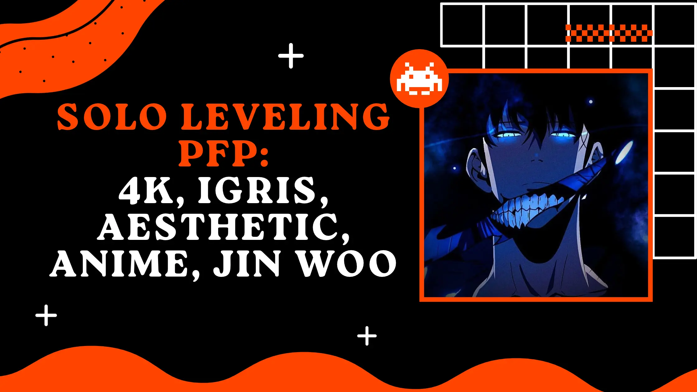 Solo Leveling PFP